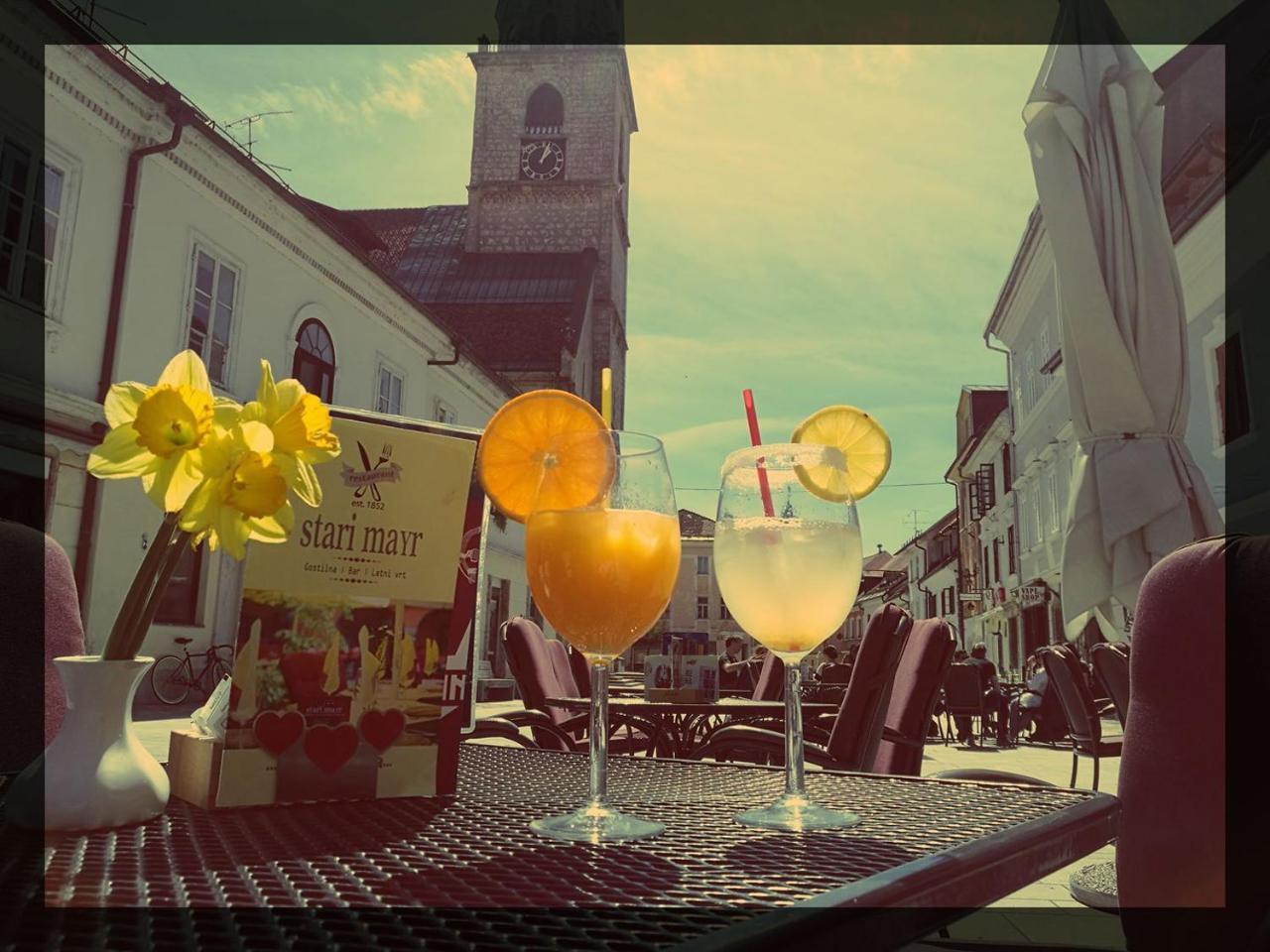 Guesthouse Stari Mayr Kranj Eksteriør billede