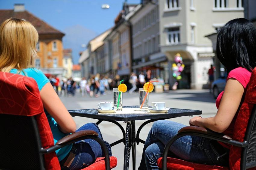 Guesthouse Stari Mayr Kranj Eksteriør billede